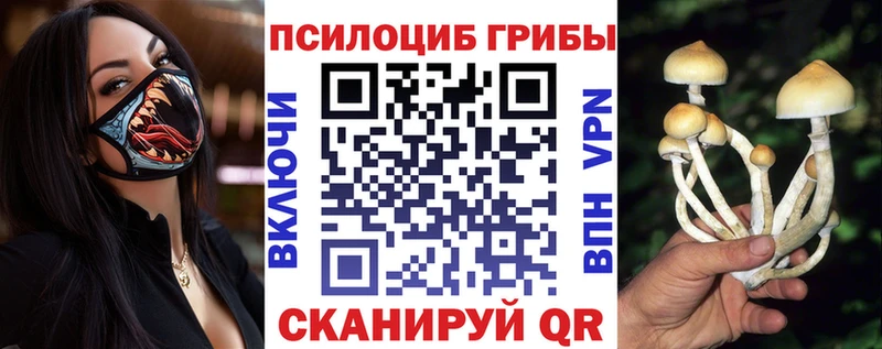 kraken сайт  Изобильный  Псилоцибиновые грибы Cubensis 